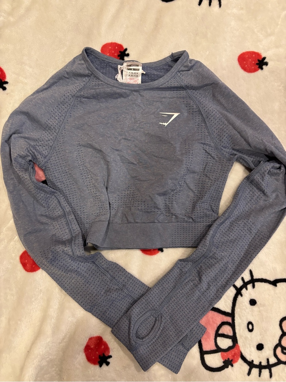 Gymshark Slate Blue Cropped Seamless Long-Sleeve Top